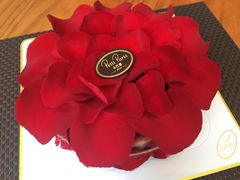 -PETIT PARIS 小巴黎(花园道店)