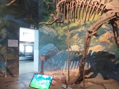 -自贡恐龙博物馆