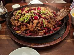 -老板恋上鱼(荣盛广场店)