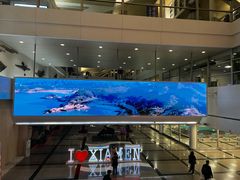 -厦门高崎国际机场-T3航站楼
