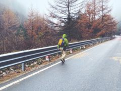 -秦岭风景区
