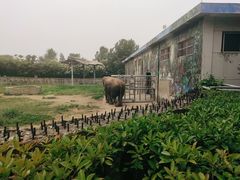-西安秦岭野生动物园