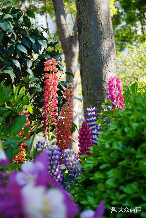 静安雕塑公园图片