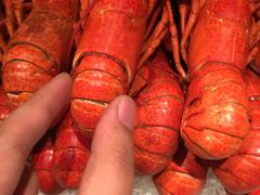 -美盛喜来登大酒店-盛宴标帜餐厅