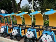 -东南花都花博园