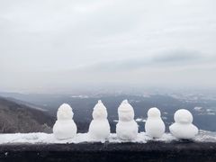 -紫金山山顶公园