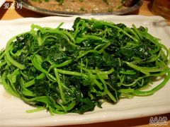 苋菜-一粥(华侨城创意文化园店)