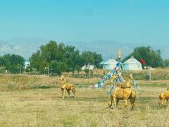 -敕勒川草原文化旅游区
