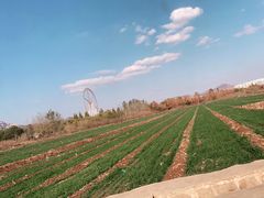 -石家庄市动物园