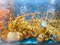 -盒马鲜生(皇庭广场店)