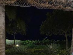 -渔家火锅·海鲜自助餐·演艺(亚龙湾天域酒店)