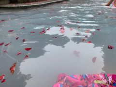 -息烽温泉