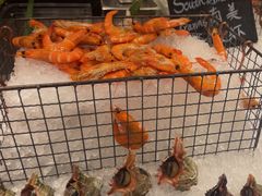 -Social 秀西餐厅-长沙瑞吉酒店(运达店)