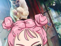 -萌宠奇缘