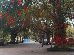 -南宁花花大世界景区