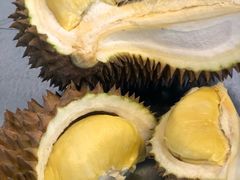 -都念榴莲·城市榴莲