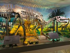 -甘肃地质博物馆