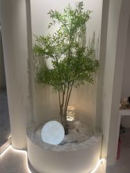 -VE专注问题肌&科学美肤中心