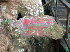 -海南霸王岭国家森林公园