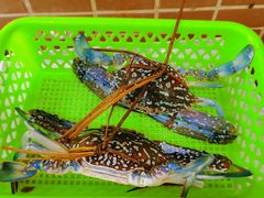 -覃记海鲜美食餐厅