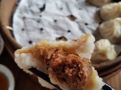茨毛圆子-双塔老饭店