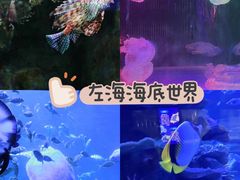 -左海海底世界