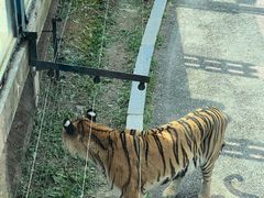 -大连森林动物园