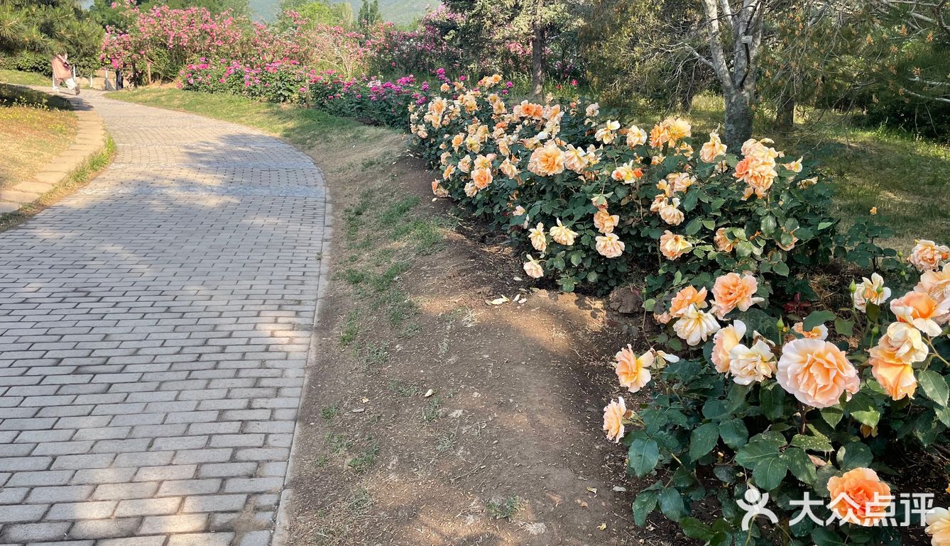 北京植物园 门票五块钱，便宜哭了
