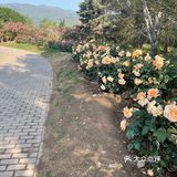 北京植物园 门票五块钱，便宜哭了