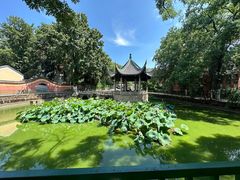 -岳麓山风景名胜区