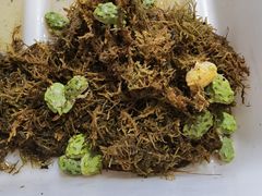 -华声天桥民俗文化园