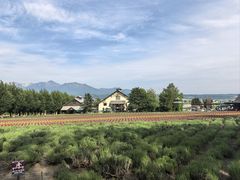 -富田农场