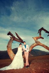 -费拉摄影(天廊T66店)