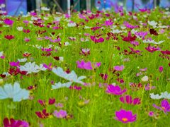 -北沙滩(地铁站)