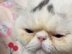 -仲盛世界商城
