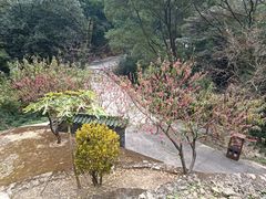 -飞霞风景名胜区