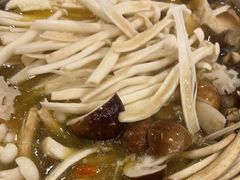 -珍品轩鲜菌火锅(眉山店)