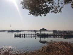 -苏州太湖湖滨国家湿地公园
