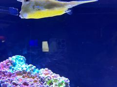 -上海海洋水族馆