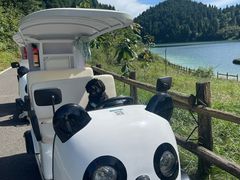 -武陵山森林公园