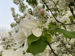 -元大都城垣遗址公园