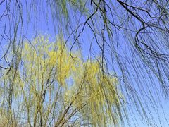 -太阳宫公园