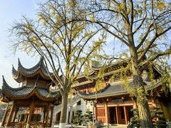-上海东林寺(金山区)