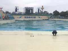 -秦皇岛乐岛海洋王国