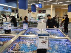 -盒马X会员店(上海森兰商都店)