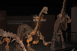 -世界恐龙谷