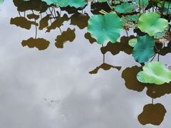 -龙头寺公园