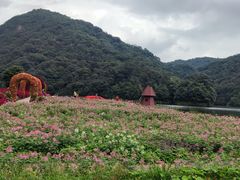 -广州市石门国家森林公园