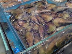 -盒马鲜生(曜一城店)