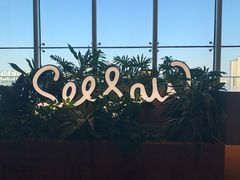 -Seesaw Coffee(朝阳大悦城店)